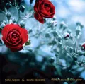 Where the Wild Roses Grow