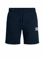 JACK & JONES JJINEWSOFT Sweat Shorts GMS