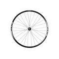 SHIMANO Rad der. RX010-Disco/QR / 17C / CL