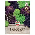 Sperli Salat Fitness-Mischung