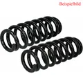 2x DACO Germany Fahrwerksfeder vorne für Renault Kangoo KC0/1_ FC0/1_ Nissan
