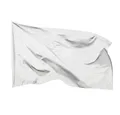 PHENO FLAGS Flagge Weiße Flagge 90 x 150 cm Fahne bemalen beschriften gestalten Frieden (Hissflagge für Fahnenmast), Inkl. 2 Messing Ösen