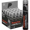 L-Carnitin Ampullen (20x25ml)