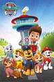 Paw Patrol Bereit Für Action Filmplakat 61x91,5 cm | 24x36 Zoll Neu Versiegelt