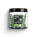 Brain Booster Pulver - 320 g Pulver_für 40 Portionen / Mojito