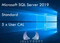 Microsoft SQL Server 2019 Standard USER CAL ✔ 5 Nutzer / User CAL ✔ TOP  ✔