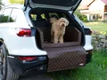 CopcoPet Hundebox Auto Kofferraumschutz Hund mit ladekantenschutz Kofferraum【Mit Tasche】 Kofferraum schutzmatte herausnehmbar - Hunde Autositz mit Anschnallsystem, hundetransportbox 110x90x38cm Braun