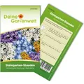 Deine Gartenwelt Blumenmischung Steingarten Winterharte Stauden Samen