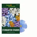 Steingarten-Stauden Winterharte Mischung Samen - Steingartensamen - Blumensamen