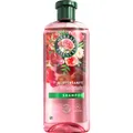 Herbal Essences Blütensanft mit Rosenduft (Flüssiges Shampoo, 350 ml) (8700216212748)