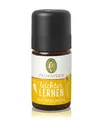 Primavera Leichter lernen Duftmischung Duftöl 5 ml