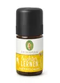 PRIMAVERA Kids Leichter Lernen Duftmischung 5 ml - Aromaöl, Duftöl, ätherisches Öl, Aromatherapie - konzentrationsfördernd, motivierend - vegan