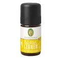 Primavera Life GmbH Raumduft Kids Leichter Lernen - Duftmischung 5ml