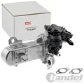 NTY AGR-VENTIL ABGASRÜCKFÜHRVENTIL passend für CITROËN C4 C5 C8 DS4 DS5 JUMPY