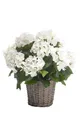 künstliche Hortensie im Korb weiß H. 45cm D. 20cm Emerald Topfpflanze