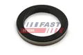 FAST FT49910 Wellendichtring, Differential für IVECO