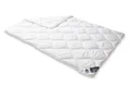 Irisette Microfaserbettdecke Steppbett Irisette Edition, Füllung: Markenhohlfaser irisette® Fill® - 100% Polyester, Bezug: weich und anschmiegsam, kochwaschbar bis 95°C, allergikergeeignet, preisbewusste Schläfer