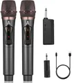 Kabelloses Mikrofon Professionelles kabelloses Dual Mikrofon kabelloses