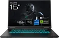 Gigabyte GAMING A16 CTHI3DE894SH 180°-Scharnierdesign Intel Core i7 13620H Win 11 Home GeForce RTX 5050 16 GB RAM 1 TB SSD NVMe 40,6 cm 16" 1920 x 1200 @ 165 Hz Wi-Fi 6E Black Steel (GIGABYTE GAMING A16 CTHI3DE894SH)