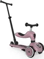 Scoot and Ride Push & Go (00071)