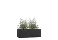 Pflanzwerk® Pflanzkübel TUB Frostbeständiger Fensterbank Premium Blumenkübel mit Lotus-Effekt, Fiberglas - Handgefertigt - Rechteckig – Frostbeständig