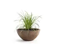 Pflanzwerk® Pflanzschale Pflanzkübel BOWL Frostbeständige Premium Blumenschale mit Lotus-Effekt, Fiberglas - Handgefertigt - Rund - Frostbeständig