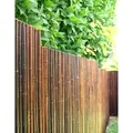 Bambus Sichtschutz  ATY NIGRA 200x180 cm – Rollzaun Garten, Sichtschutzmatte Balkon, Bambuszaun Braun, blickdicht & wetterfest - Braun