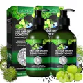 P-Beauty 3-in-1 Conditioner mit Rizinus-, Amla-, & Schwarzkümmelöl 2 x 300ml- Stärkt, pflegt und hydratisiert tiefenwirksam für gesundes, glänzendes Haar - unterstützt das Haarwachstum