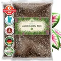 ORAGARDEN Alocasien Erde für Zimmerpflanzen und Garten - 6L Alokasien Substrat für Pflanzen, Palmen, Blumen - 6 Komponenten Blumenerde