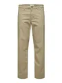 SELECTED HOMME Herren Slhstraight-new Miles 196 Flex Pants W N, Greige, 36W / 34L