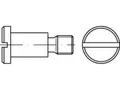 100 x Flachkopfschrauben mit Schlitz undAnsatz DIN 923 4.8/5.8 M 6 x 12 galv. ve