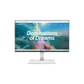 Lenovo L24D-4C Business Monitor - Cloud Grey - 23,8" Full-HD, IPS, 144Hz, 250 Ni