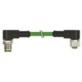 Murrelektronik M12 Stecker gewinkelt 7000-46061-8020060