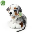 Plüsch Australian Shepherd mit Leine 27 cm Eco-f.