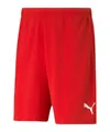 PUMA Sporthose PUMA TeamRISE Short Shorts Herren teamRISE