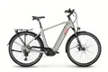 Victoria E-Bike VICTORIA Elektro-Trekkingrad "Manoc 6" (1), Diamant, 28", stardust si