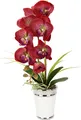 I.Ge.A. Kunstblume "Orchidee", rot, B/H/L: 30cm x 52cm x 40cm