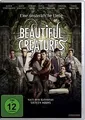 Beautiful Creatures - Eine unsterbliche Liebe von Richard... | DVD | Zustand gut