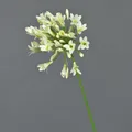 artplants Dekoblume Agapanthus ASONG, Creme, 75 cm