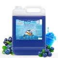 Belissia Slush Eis Sirup 5L Konzentrat - Blaubeer - für Slush-Eis & Wasserei