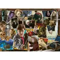 Erwachsenenpuzzle 1000 Teile - Harry Potter gegen Voldemort