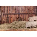 YongFoto 3x2m Vinyl Foto Hintergrund Jahrgang Interieur aus Holz Hayloft Heu Heap Board Ecke Altes Rad Fotografie Hintergrund f黵 Photo Booth Party Fotostudio Requisiten