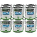 Farmina Vet Life Renal Dog 12x300g
