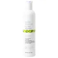 milk_shake No Frizz Allowed Perfecting Conditioner 300 ml