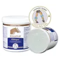 Equipur Kühlgel 1 kg