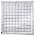 Billerbeck Sommerdecke Sari Superlight, Weiß, Textil, Füllung: Seide, 200x200 cm, Hohenstein, für Hausstauballergiker geeignet, temperaturausgleichend, feuchtigkeitsregulierend, weich und anschmiegsam, Schlaftextilien, Bettdecken, Sommerdecken