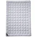 billerbeck Sommerbettdecke Sari, Füllung: 100% Seide (Tussah-Seide), Bezug: Baumwolle, Atmungsaktiv und leicht kühlend 200 cm x 200 cm
