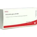Articulatio Genus Gl D30 10 ML