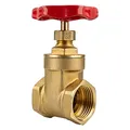 tecuro Messing-Muffenschieber metallisch dichtend, beidseitig Innengewinde 2 Zoll, inkl. PTFE -Dichtungen und Stopfbuchse