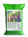 Linsor Lupine Samen Gründunger Gründüngung Saatgut Bienenweide Süßlupine 1 kg